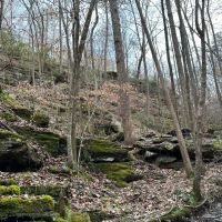 Paris Mountain 71 acres images 4