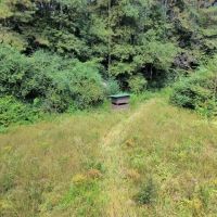 68 Arce Hunting Paradise- McShan Alabama -Pickens County AL. images 4