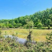 64.3 Acres in Humphreys County MS images 2