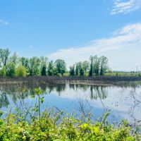 64.3 Acres in Humphreys County MS images 3