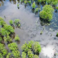 64.3 Acres in Humphreys County MS images 5
