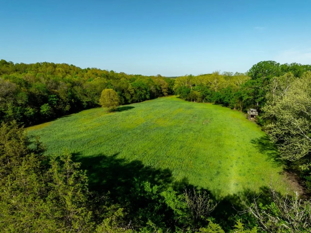 97 - Acres Year Round Creek Pasture Woods Electric Water Paved Road Frontage Evening Shade Arkansas featured image