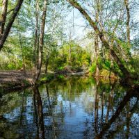 97 - Acres Year Round Creek Pasture Woods Electric Water Paved Road Frontage Evening Shade Arkansas images 3