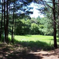 01-001-warrior-river images 2