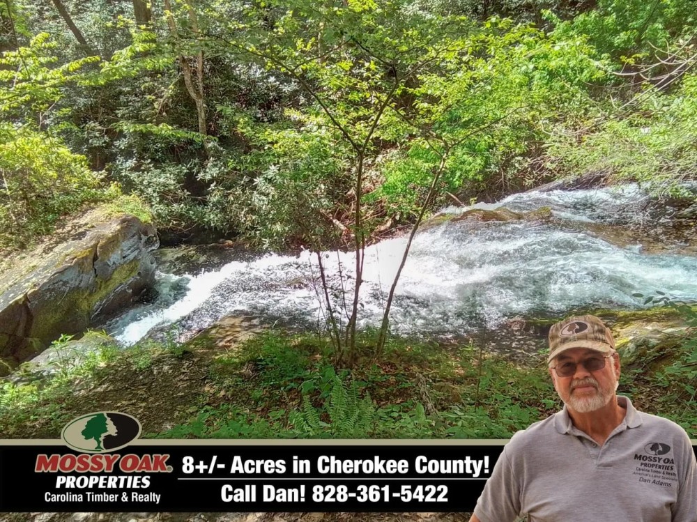 8.1 Ac with Monster Cascading Waterfall and USFS Frontage featured image