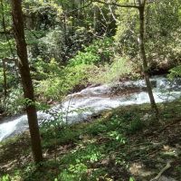 8.1 Ac with Monster Cascading Waterfall and USFS Frontage images 2