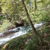 8.1 Ac with Monster Cascading Waterfall and USFS Frontage images 3