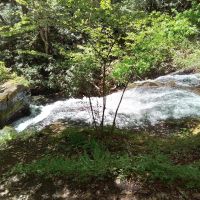 8.1 Ac with Monster Cascading Waterfall and USFS Frontage images 4