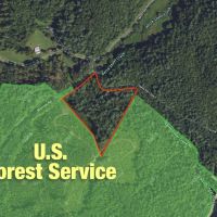 8.1 Ac with Monster Cascading Waterfall and USFS Frontage images 5