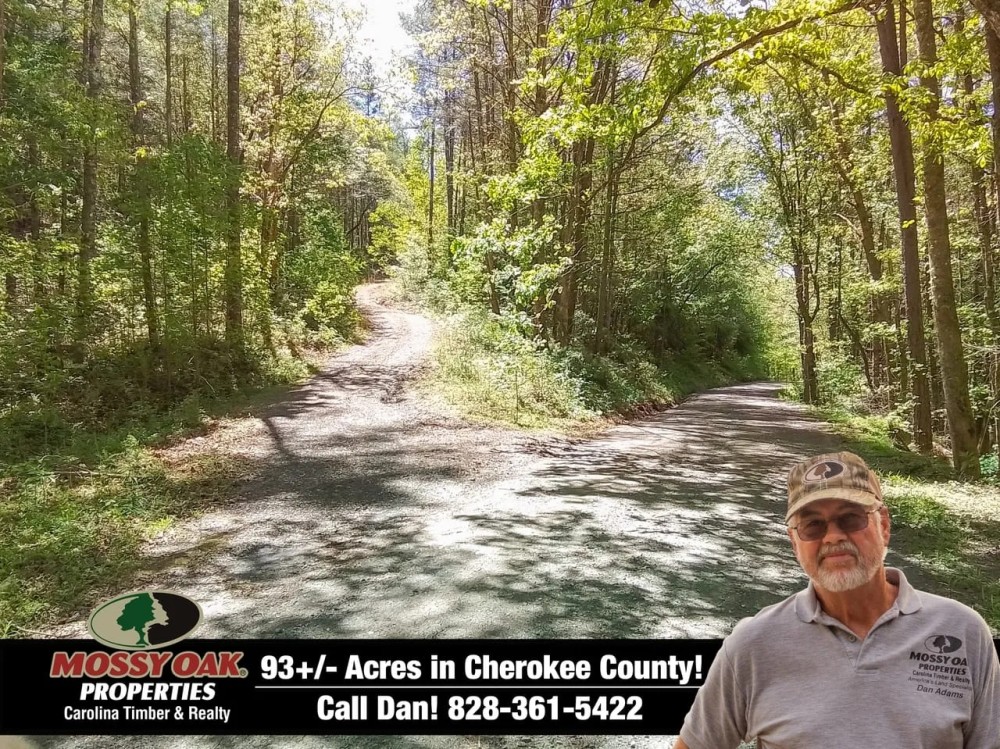 93.2 ac - Surrounded by USFS with Cell Tower Income featured image