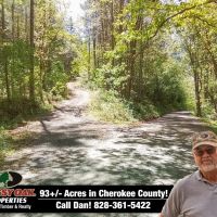 93.2 ac - Surrounded by USFS with Cell Tower Income