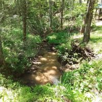 93.2 ac - Surrounded by USFS with Cell Tower Income images 2