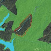 93.2 ac - Surrounded by USFS with Cell Tower Income images 3