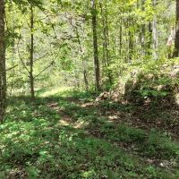 93.2 ac - Surrounded by USFS with Cell Tower Income images 4