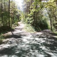 93.2 ac - Surrounded by USFS with Cell Tower Income images 5