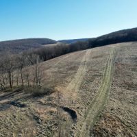 Mountain Rd. Fayette County - 138 acres images 3
