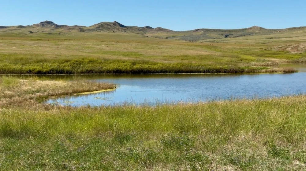 Waisner Creek Haying Land featured image