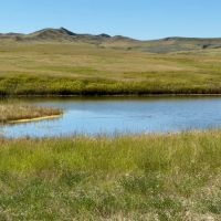 Waisner Creek Haying Land