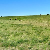 Waisner Creek Haying Land images 3