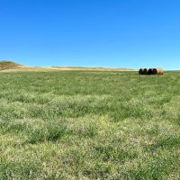 Waisner Creek Haying Land images 5