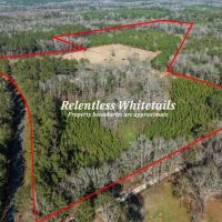 Relentless Whitetails Hunting Preserve images 2
