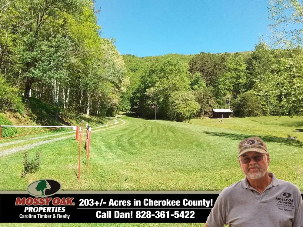 203 - Acres with Home Big Creek Borders USFS featured image