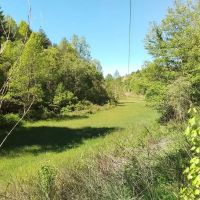 203 - Acres with Home Big Creek Borders USFS images 2