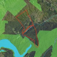 203 - Acres with Home Big Creek Borders USFS images 3