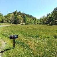 203 - Acres with Home Big Creek Borders USFS images 4
