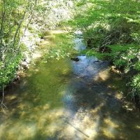 203 - Acres with Home Big Creek Borders USFS images 5