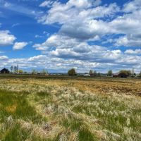 25 Acres of Undeveloped Land for Sale in Mancos CO images 5