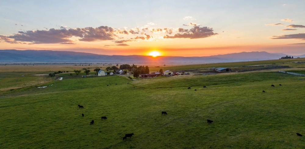 Bar K Ranch featured image