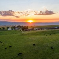 Bar K Ranch