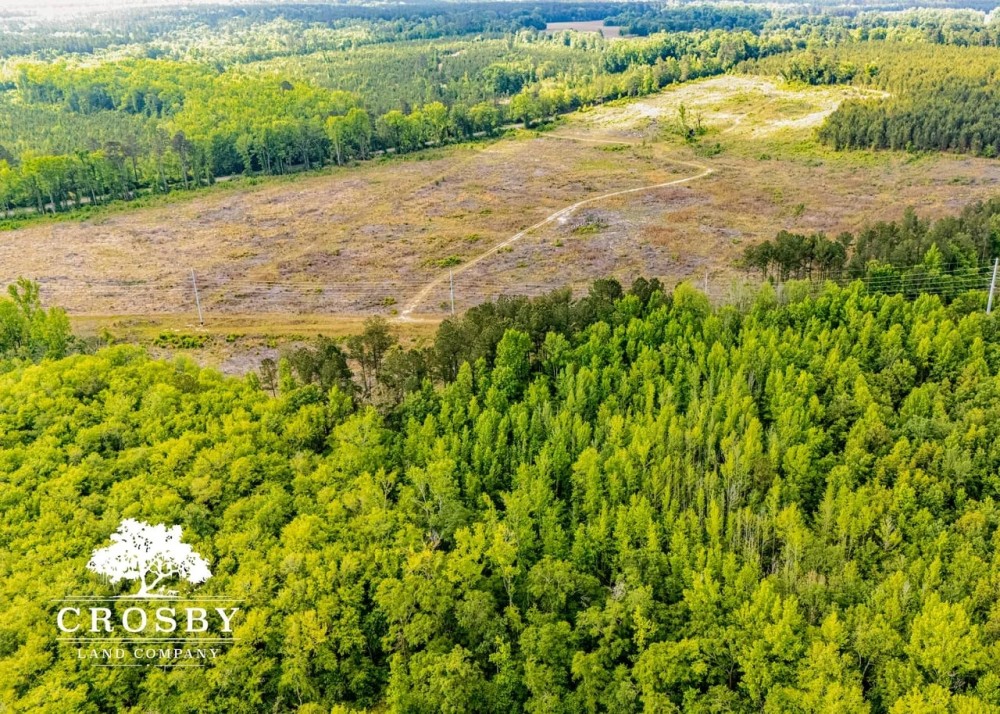 North Edisto River Tract featured image