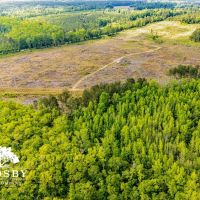North Edisto River Tract
