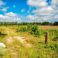North Edisto River Tract images 2