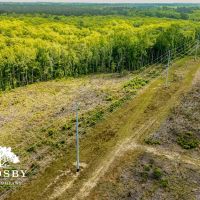 North Edisto River Tract images 5