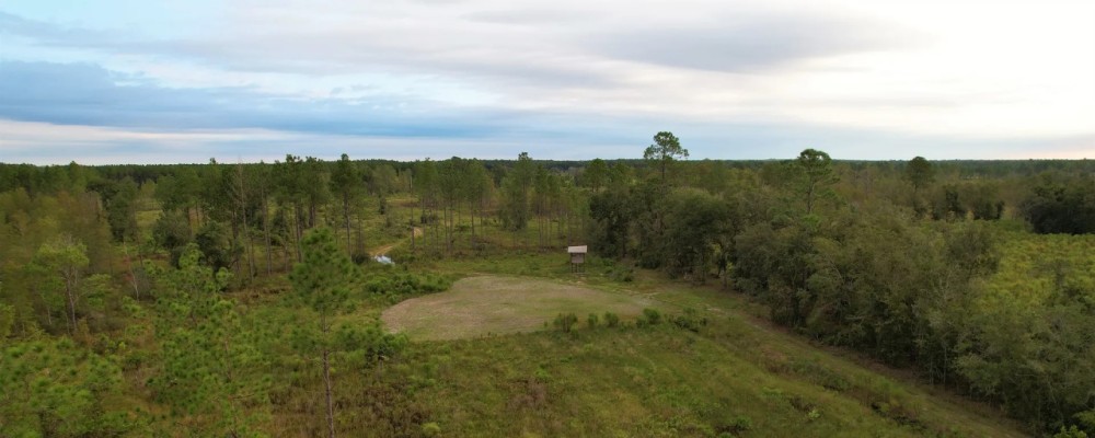 Fox Lake Woods featured image