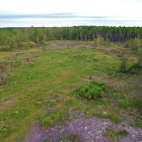 Fox Lake Woods images 3