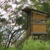 Fox Lake Woods images 5