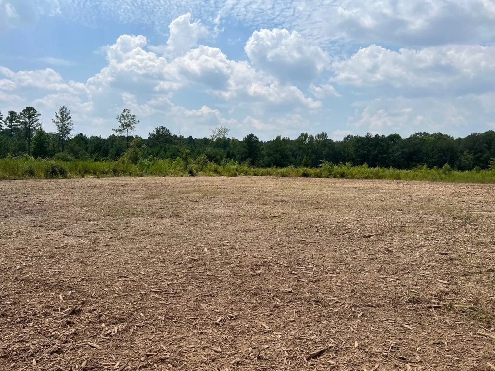 Gorgeous 3 Acre Homesite in Prattville Lot 4 featured image