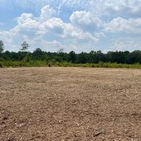 Gorgeous 3 Acre Homesite in Prattville Lot 4
