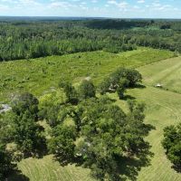Gorgeous 3 Acre Homesite in Prattville Lot 4 images 2