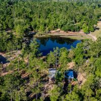 247 Ac Trophy Deer amp Timber in FL images 2