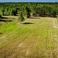 247 Ac Trophy Deer amp Timber in FL images 3