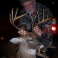 247 Ac Trophy Deer amp Timber in FL images 5