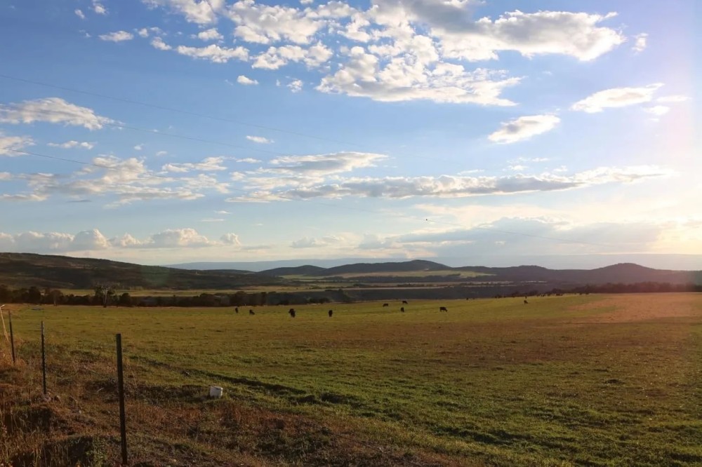 The Hilltop featured image