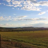 The Hilltop
