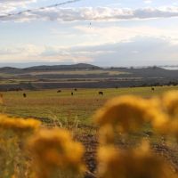 The Hilltop images 3