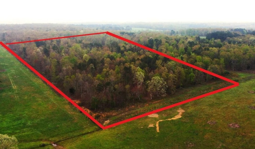 68 Acres For Sale in Ripley County MO featured image